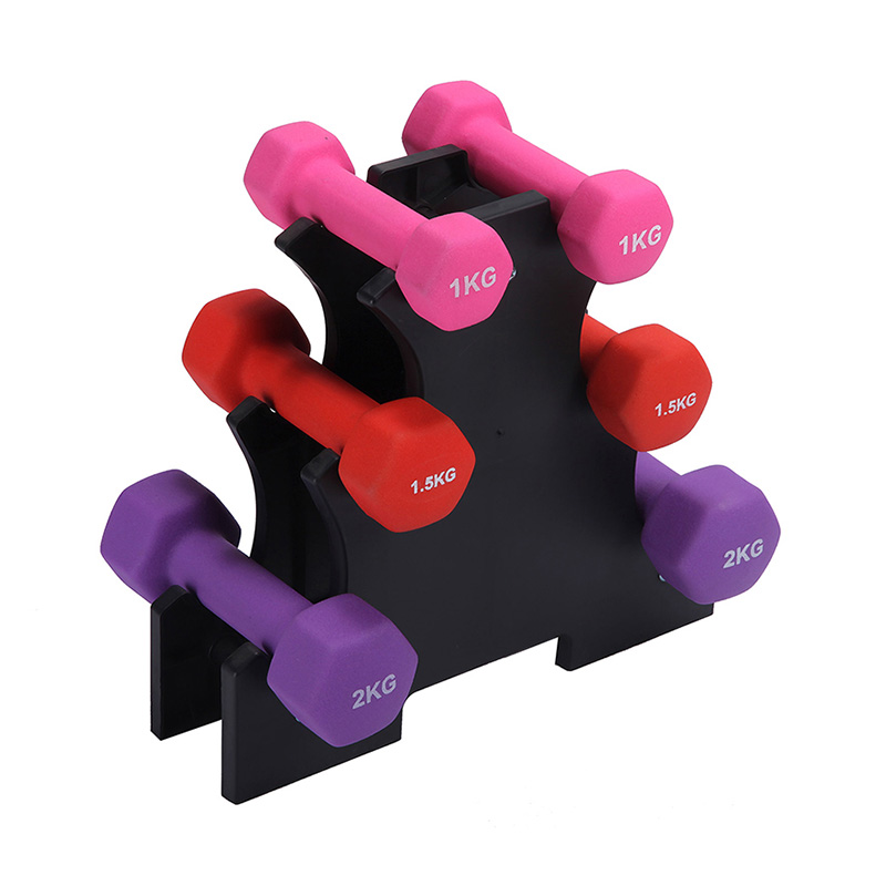 Ensemble d'haltères de gymnastique à domicile